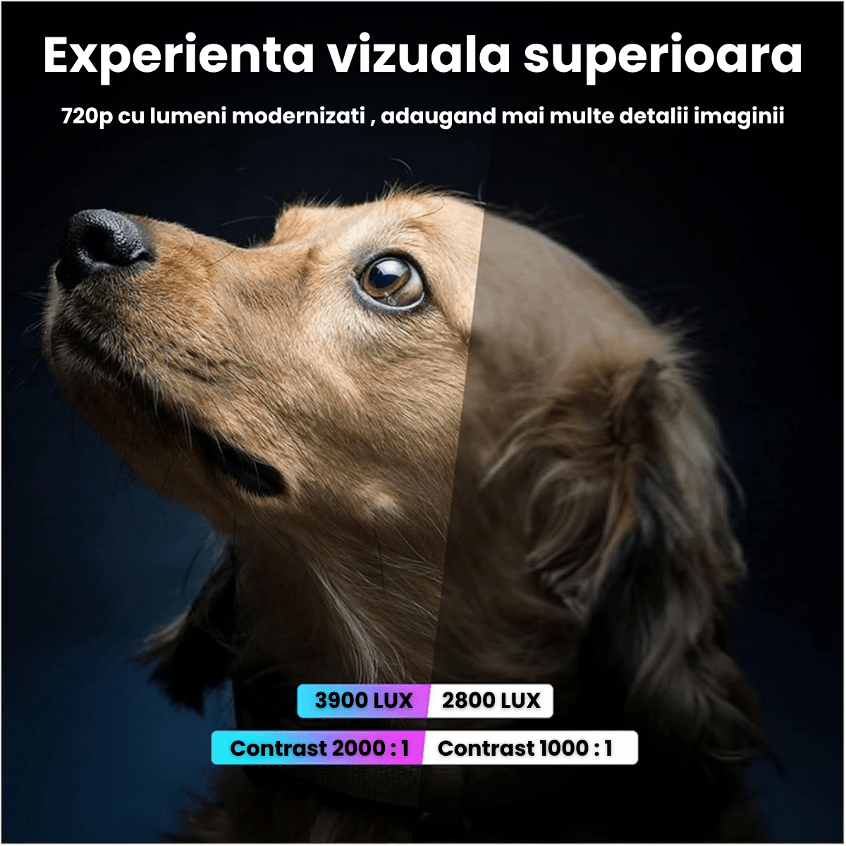 Videoproiector portabil HASEPE, WiFi Mirroring Android/iOS/Windows/MacBook, Rezolutie HD 720P, 3900 LUX, HDMI, USB, SD, VGA, AV, difuzor integrat, ideal pentru acasa si exterior - HASEPE