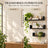 Set 3 Rafturi De Perete HASEPE®, Set 3 Rafturi Suspendate Negru, Rafturi Decorative Cu Suporturi Ascunse