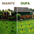Aparat Anti Cartite si Sobolani de Pamant HASEPE, Anti Soareci de Camp si Serpi, Vibratii Solare 360°, Rezistent la Apa, Incarcare Solara, Protectie Gradina, Verde - HASEPE