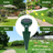 Aparat Anti Cartite si Sobolani de Pamant HASEPE, Anti Soareci de Camp si Serpi, Vibratii Solare 360°, Rezistent la Apa, Incarcare Solara, Protectie Gradina, Verde - HASEPE